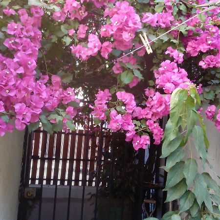 Alojamiento Alberto Magno Bed & Breakfast ซานติอาโก ภายนอก รูปภาพ